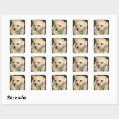 Liefde Labrador Retriever Puppy Sticker (Vel)