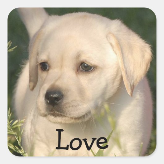 Liefde Labrador Retriever Puppy Sticker (Voorkant)