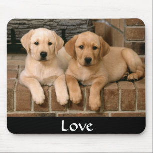 Liefde Labrador Retrievers Puppies Muismat