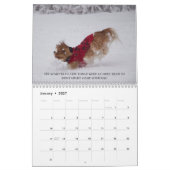 Liefde, lachen en ontspannen Cavalier King Charles Kalender (Jan 2027)