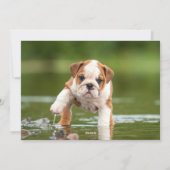 Liefde Lachen Magische Herinneringen Vakantie Foto Feestdagenkaart (Achterkant)