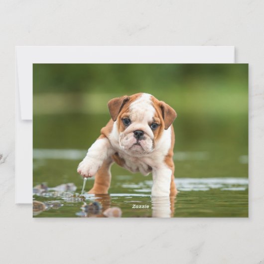 Liefde Lachen Magische Herinneringen Vakantie Foto Feestdagenkaart (Achterkant)