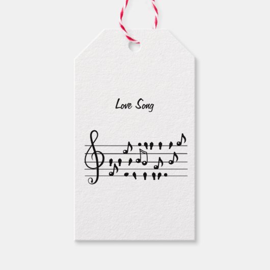 Liefde liedjes, vogels tussen muzikale noten cadeaulabel (Voorkant)