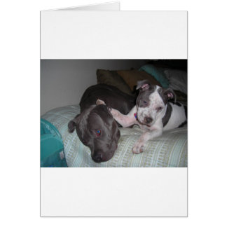 liefde , liefde , liefde , liefde