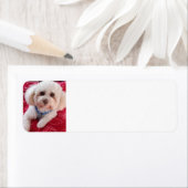 Liefde mijn poodle Return-adreslabels Etiket (Insitu)