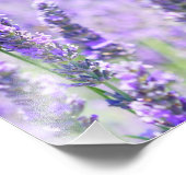 Liefde mislukt nooit Bijbelse Citaat Lavender Flow Foto Afdruk (Hoek)