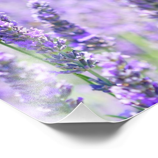 Liefde mislukt nooit Bijbelse Citaat Lavender Flow Foto Afdruk (Hoek)