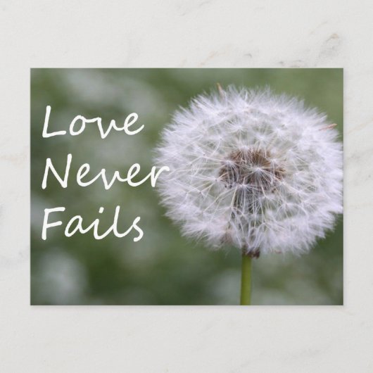 Liefde mislukt nooit Dandelion1 Corinthians 13 Briefkaart (Voorkant)