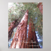 Liefde mislukt nooit poster (Voorkant)