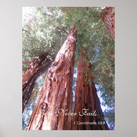 Liefde mislukt nooit poster (Voorkant)