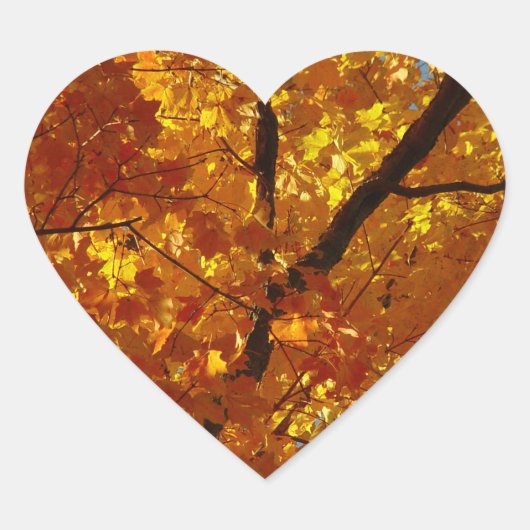 Liefde Natuur Stickers - Herfst Foliage (Voorkant)