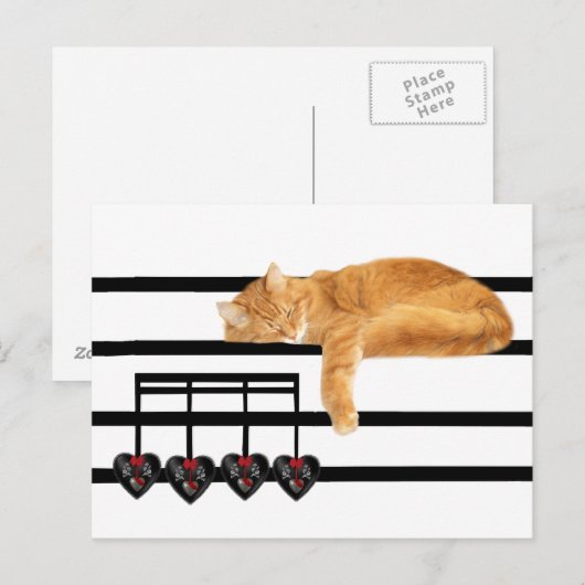 Liefde notities van de kat (Voorkant / Achterkant)