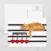 Liefde notities van de kat (Voorkant / Achterkant)