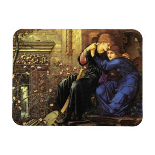 Liefde onder de Ruins Fine Art Magneet