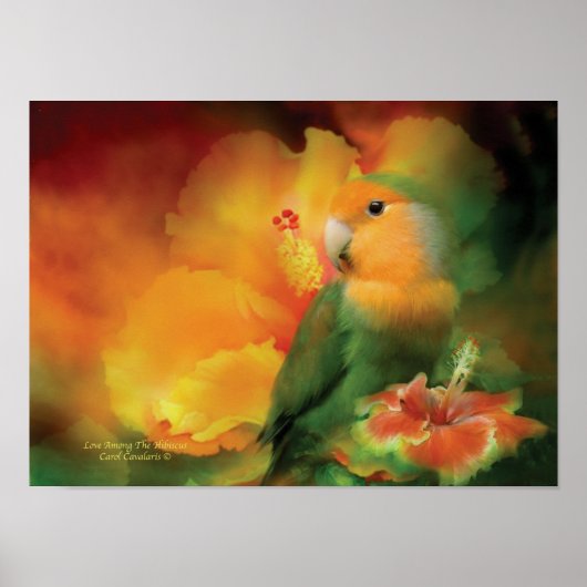 Liefde onder het Hibiscus Art Poster/Print Poster (Voorkant)