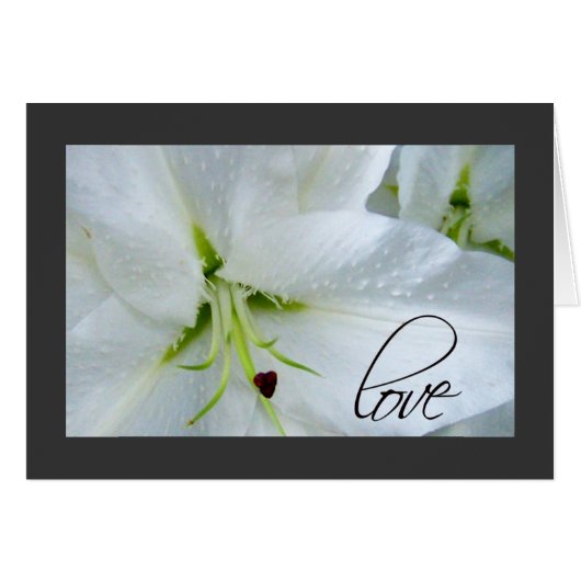 Liefde op een calla lily (Voorkant Horizontaal)