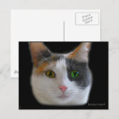 Liefde op het eerste Briefkaart (Voorkant / Achterkant)