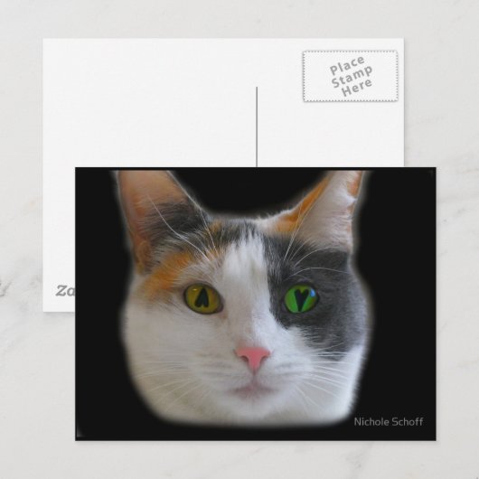 Liefde op het eerste Briefkaart (Voorkant / Achterkant)