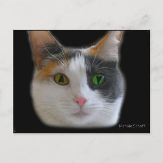 Liefde op het eerste Briefkaart