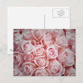 Liefde op lichtroze rozen achtergrond door genezen briefkaart (Voorkant / Achterkant)