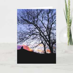 "Liefde op zonsondergang" Verlies van een kat-symp Kaart