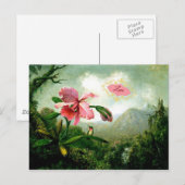 Liefde, Orchid en Hummingbird bij een waterval Briefkaart (Voorkant / Achterkant)
