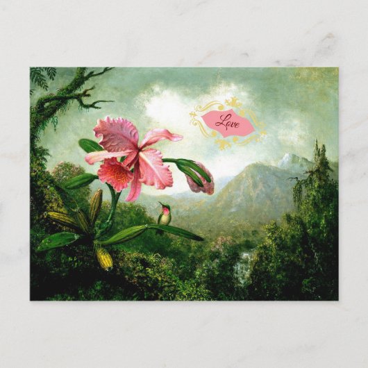 Liefde, Orchid en Hummingbird bij een waterval Briefkaart (Voorkant)