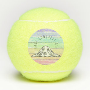 liefde overwint alles hond regenboog basset hound tennisballen