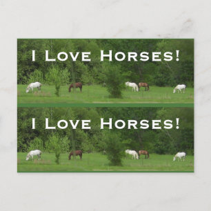 Liefde paarden! Bladwijzers - Aanpassen! Briefkaart
