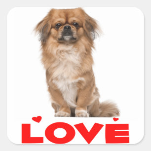 Liefde Pekingese Puppy Dog Red Heart Sticker / zee