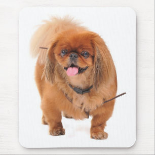 Liefde Pekingese Puppy Hond Muismat
