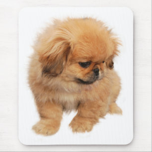 Liefde Pekingese Puppy Hond Muismat