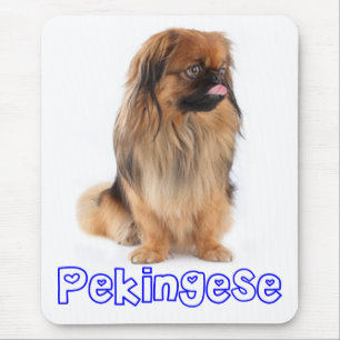 Liefde Pekingese Puppy Hond Muismat