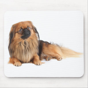 Liefde Pekingese Puppy Hond Muismat