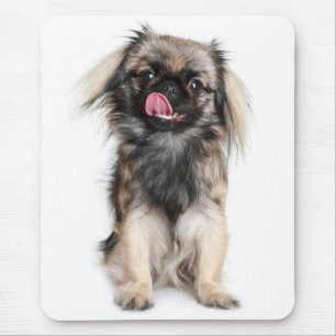 Liefde Pekingese Puppy Hond Muismat