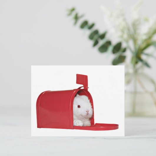 Liefde per post briefkaart (Staand voorkant)