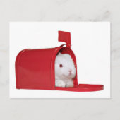 Liefde per post briefkaart (Voorkant)