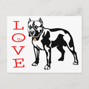 Liefde Pit Bull Puppy Hond Blanke Postkaart
