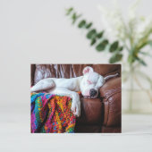Liefde Pitbull hond slapen op de bank Briefkaart (Staand voorkant)