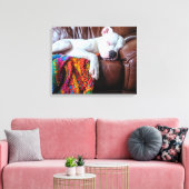 Liefde Pitbull hond slapen op de bank Canvas Afdruk (Insitu (Woonkamer))