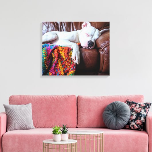 Liefde Pitbull hond slapen op de bank Canvas Afdruk (Insitu (Woonkamer))