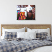 Liefde Pitbull hond slapen op de bank Canvas Afdruk (Insitu (Slaapkamer))