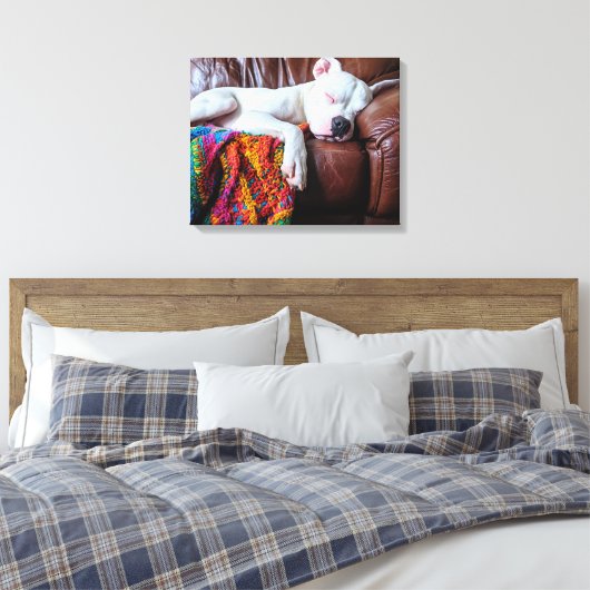 Liefde Pitbull hond slapen op de bank Canvas Afdruk (Insitu (Slaapkamer))