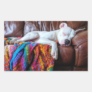 Liefde Pitbull hond slapen op de bank Rechthoekige Sticker