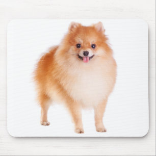 Liefde Pomeranian Pom Pom Puppy Hond Muismat