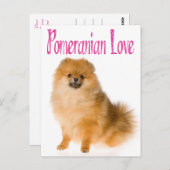 Liefde Pommeren Blank Dog-kaart Briefkaart (Voorkant / Achterkant)
