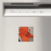 Liefde Poppy Magnet (Insitu (Vaatwasser))