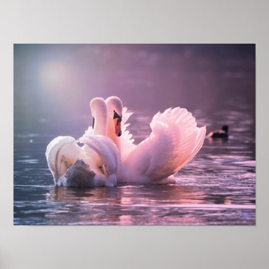 Liefde Poster (Voorkant)