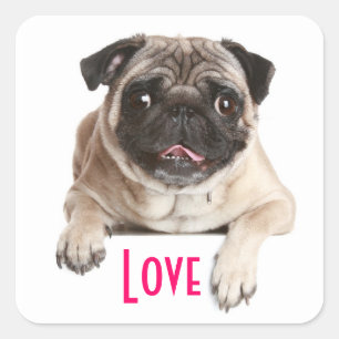 Liefde Pug Puppies Hond Begroetingsstickers Vierkante Sticker