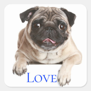 Liefde Pug Puppies Hond - Denk Aan Jou, Vierkante Sticker